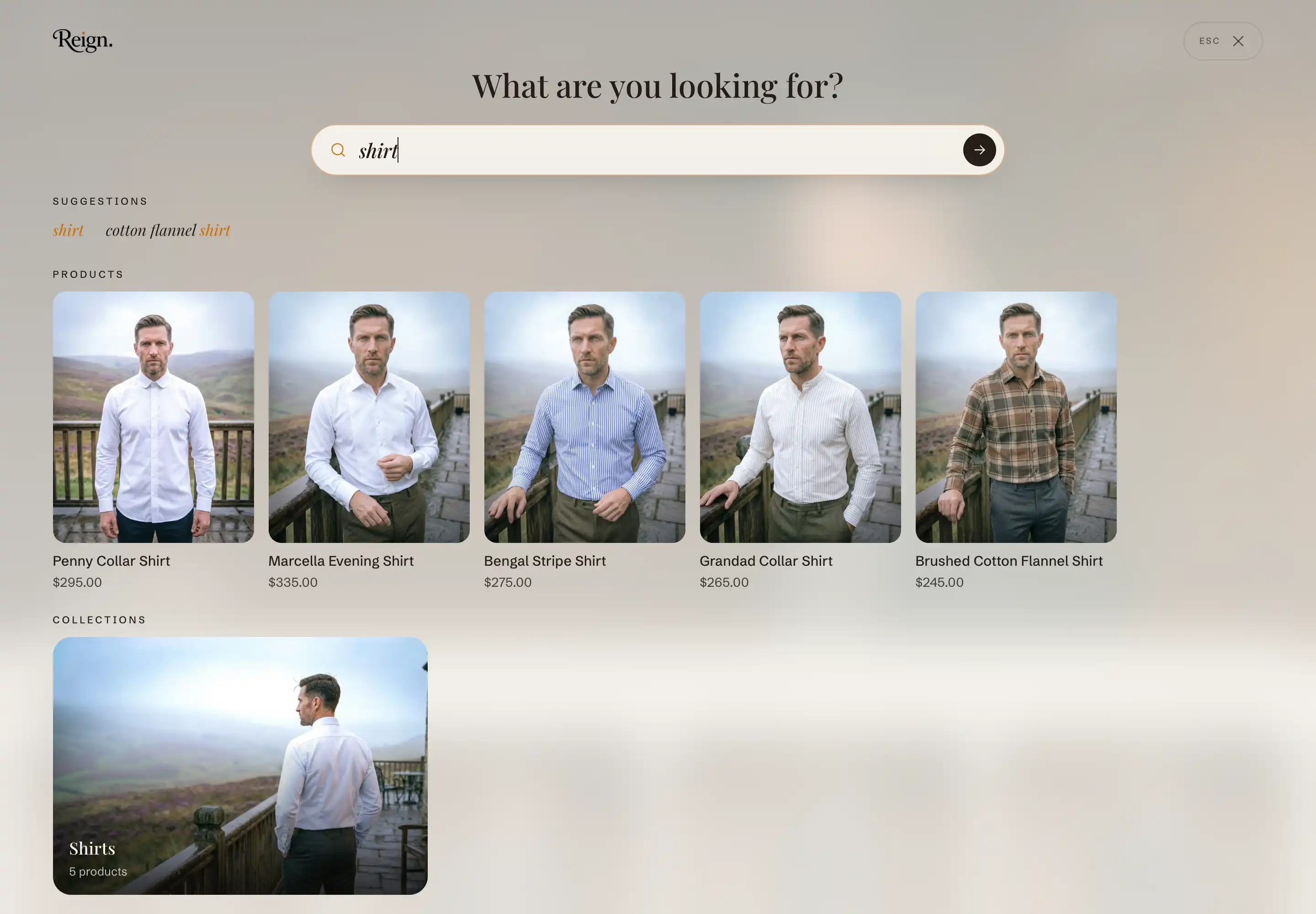Predictive search overlay with results