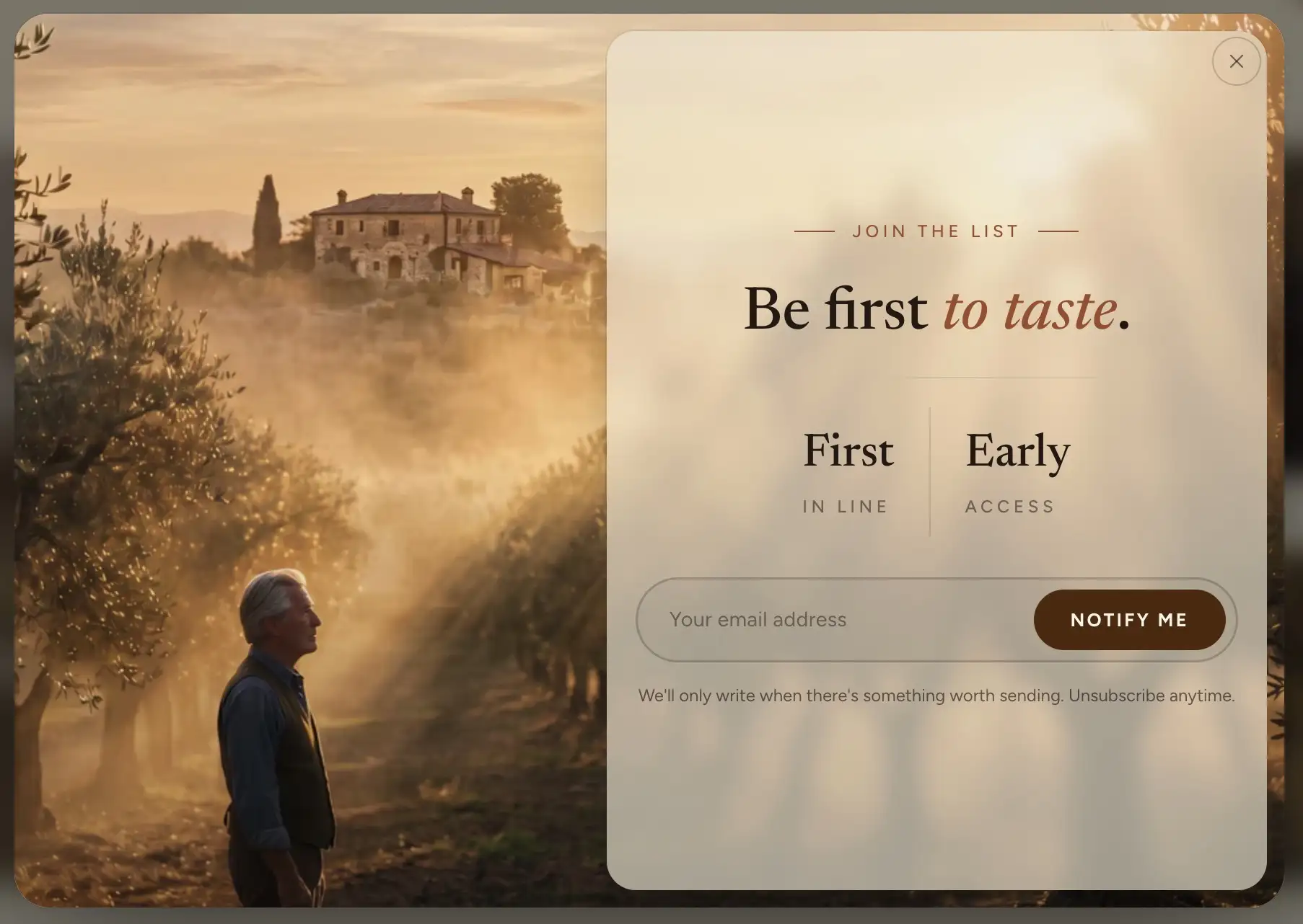 A newsletter pop-up open over the page